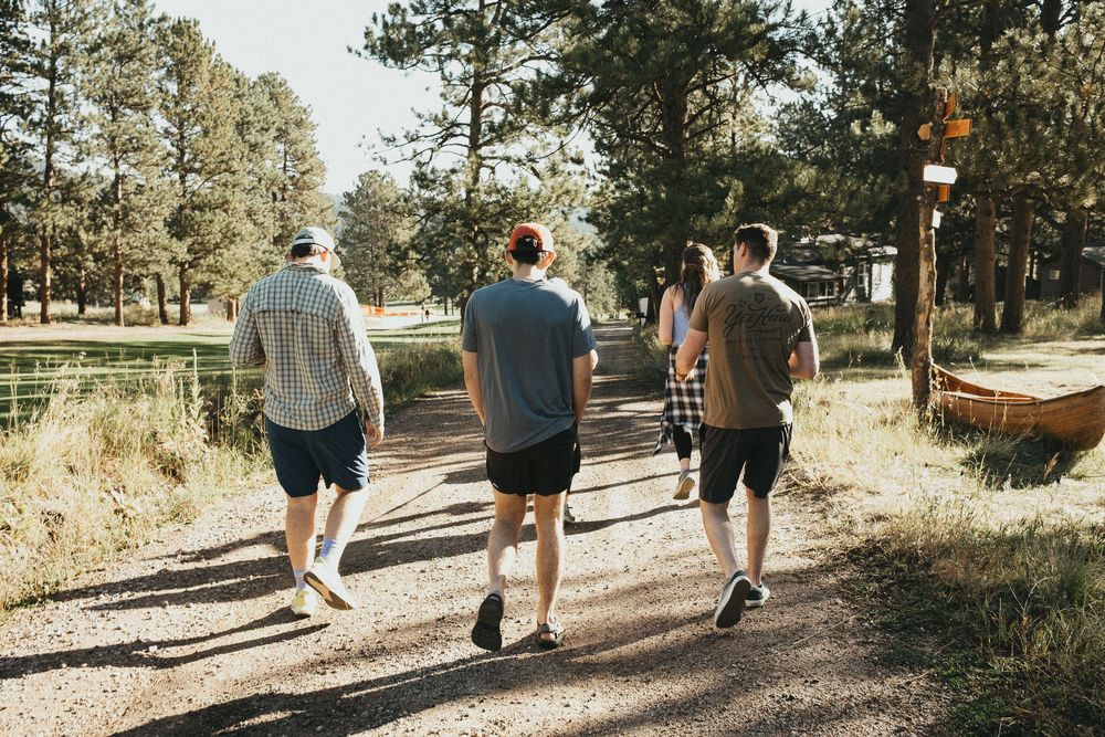 Friends hiking together on a sunny forest trail